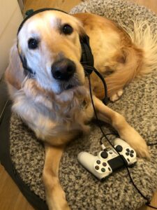 Ava Guide Dog with headset and game controller